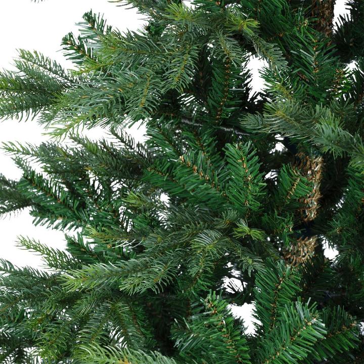 Produktbild Greendeco Abies Grandis (150 cm)