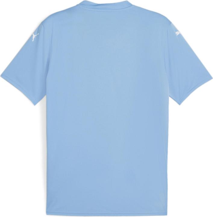 Produktbild Puma teamGLORY Jersey (L)