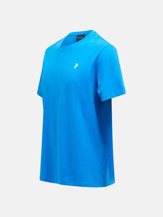 Produktbild Peak Performance Explore Graphic Tee (XL)
