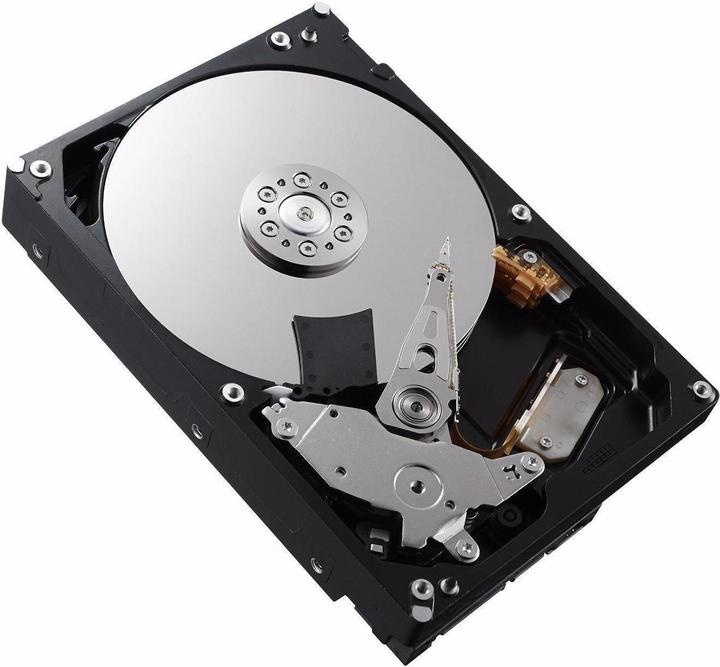 Actual product image Dell Harddisk 400-BGEB 3.5 SATA 1 TB (1 TB, 3.5")
