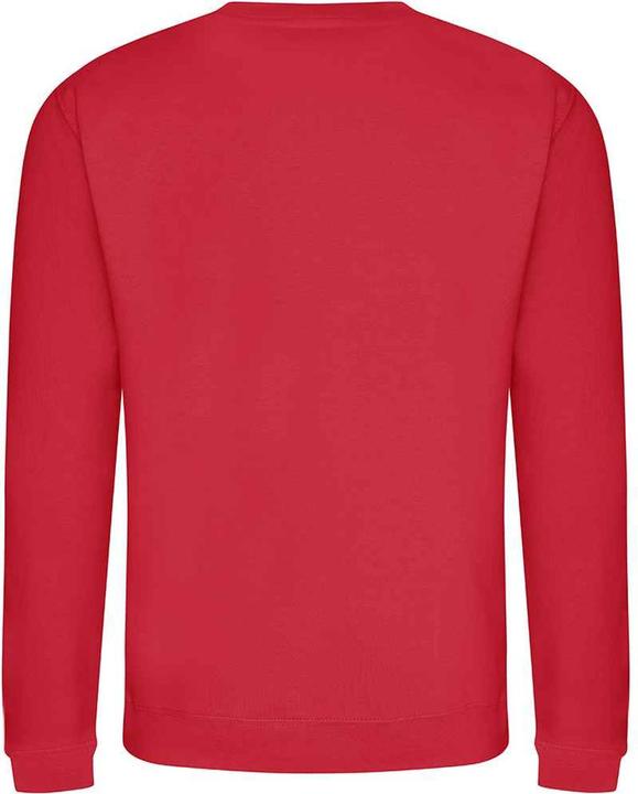 Actual product image Awdis UTRW2014 P (3XL)