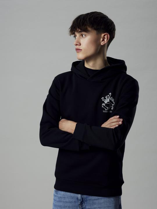 Produktbild Lmtd Loose Fit Hoodie (134, 140)