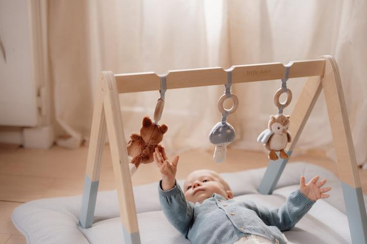 Image du produit Little Dutch Babygym Forest Friends