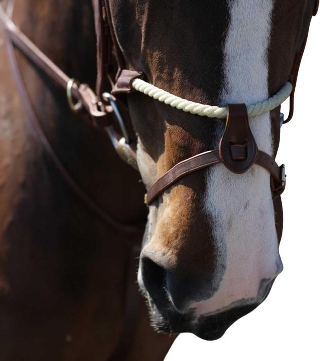 Produktbild Nasenband RNB Leder