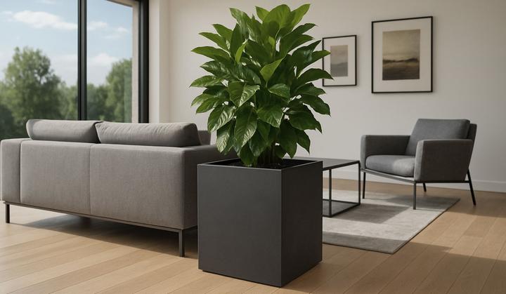 Produktbild Revox Botanic 50 Indoor (1 Stk., 60 W)