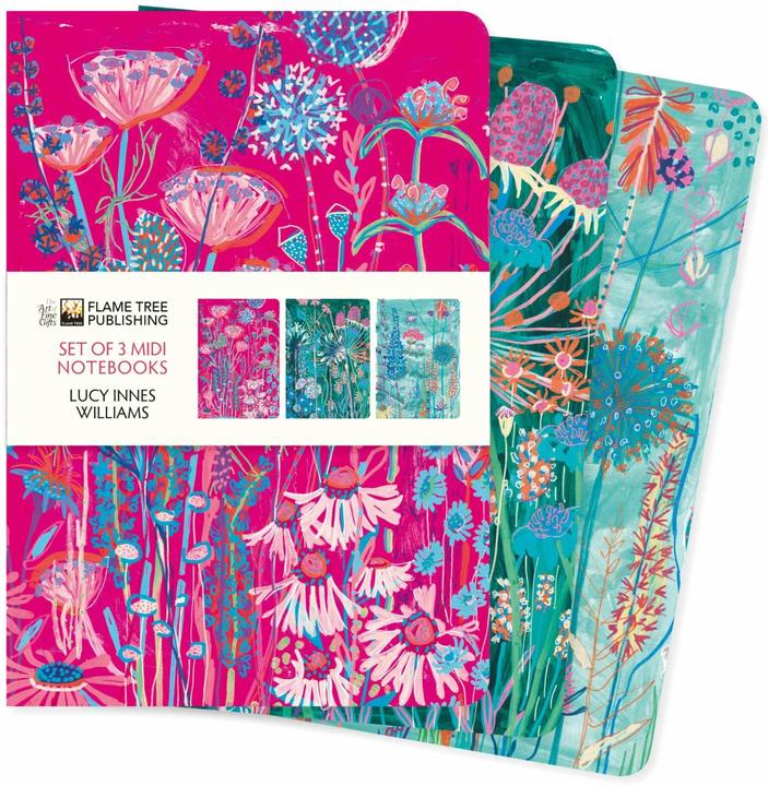 Image du produit Lucy Innes Williams Ensemble de 3 ordinateurs portables Midi (Couverture rigide)