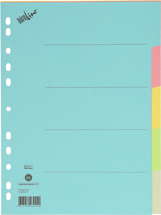 Actual product image BüroLine Cardboard register coloured A4
