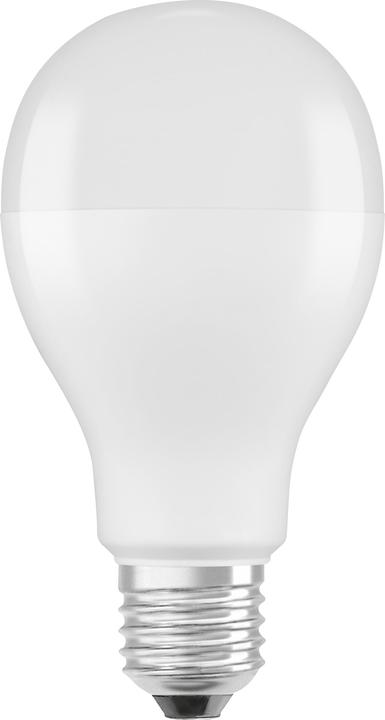Osram Star Pin (E27, 19 W, 2451 lm, 1 x, E)
