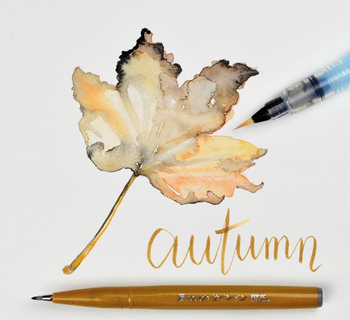 Actual product image Pentel Sign Pen Brush (1x)