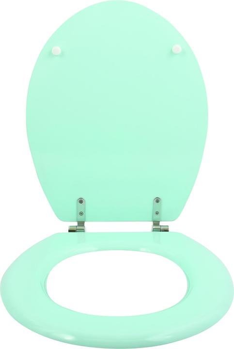 Actual product image MSV University