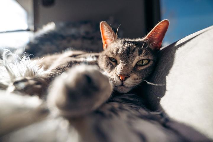 Image du produit Tamron 16-30mm F/2.8 Di III VXD G2 Nikon Z (Nikon Z, Plein format)