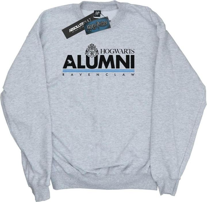 Image du produit - Sweat HOGWARTS ALUMNI RAVENCLAW - Homme (3XL)