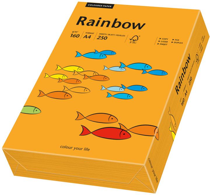 Actual product image Rainbow Papier (A4, 250 Sheets, 160 g/m²)