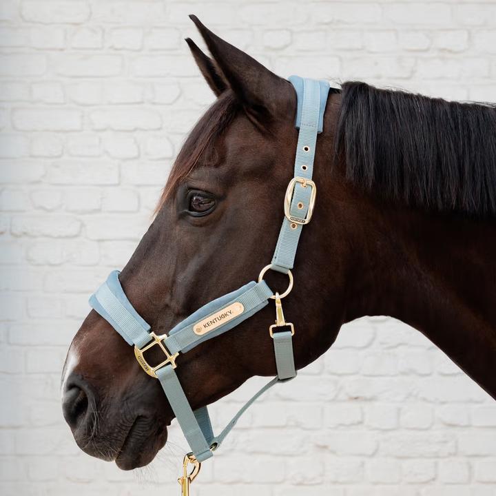Immagine prodotto Kentucky Horsewear Cavezza in nylon