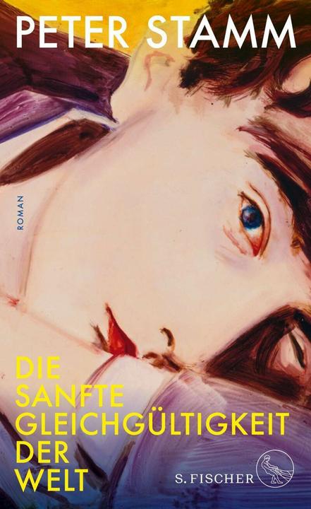 Produktbild Die sanfte Gleichgültigkeit der Welt (Deutsch, Peter Stamm, 2018)