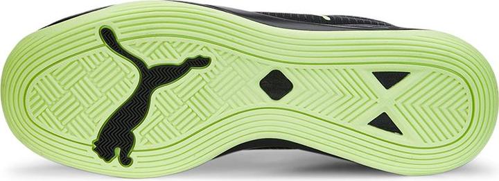 Produktbild Puma Accelerate Pro II (45)