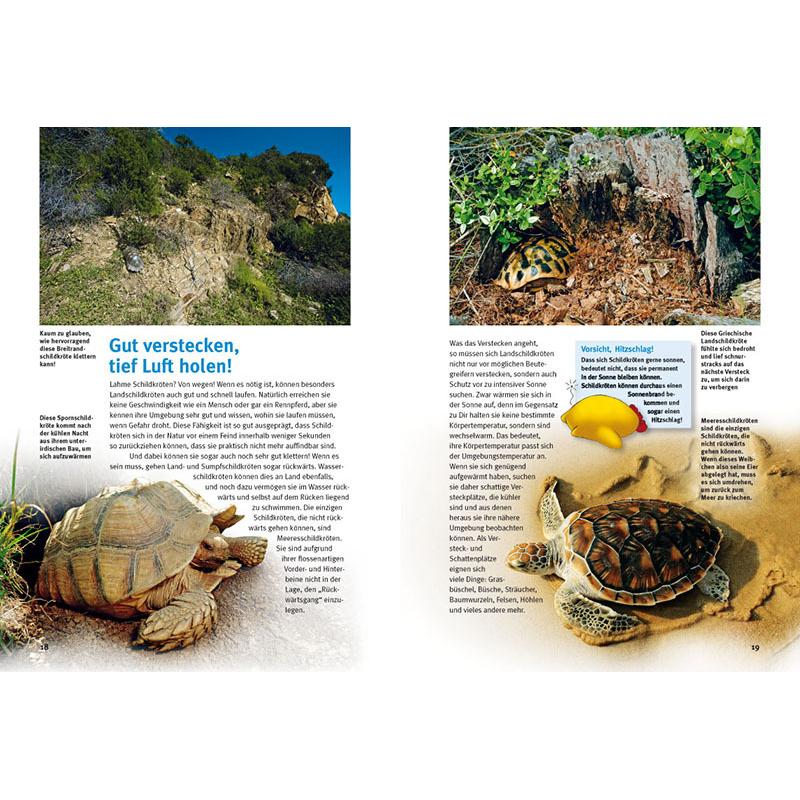 Thumbnail - Entdecke die Schildkröten, Kinderbücher von Hans-Dieter Philippen