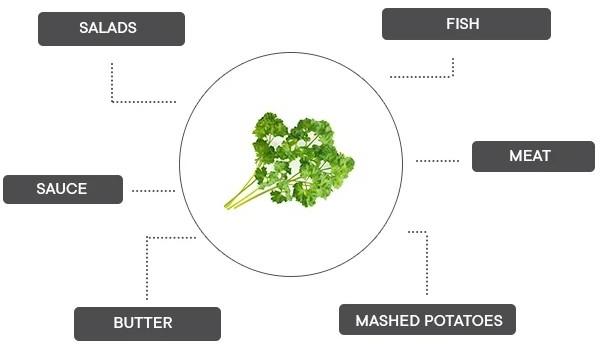 Produktbild Véritable Bio-Petersilie (Kräutersamen)