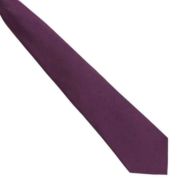 Actual product image Premier Unisex Adult Colours Fashion Plain Clip-On Tie