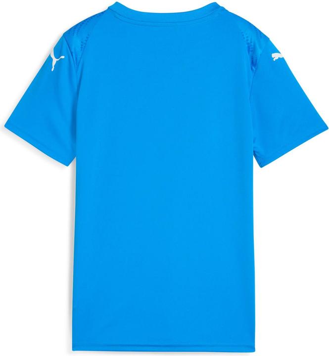 Actual product image Puma teamULTIMATE Jersey Jr (128)