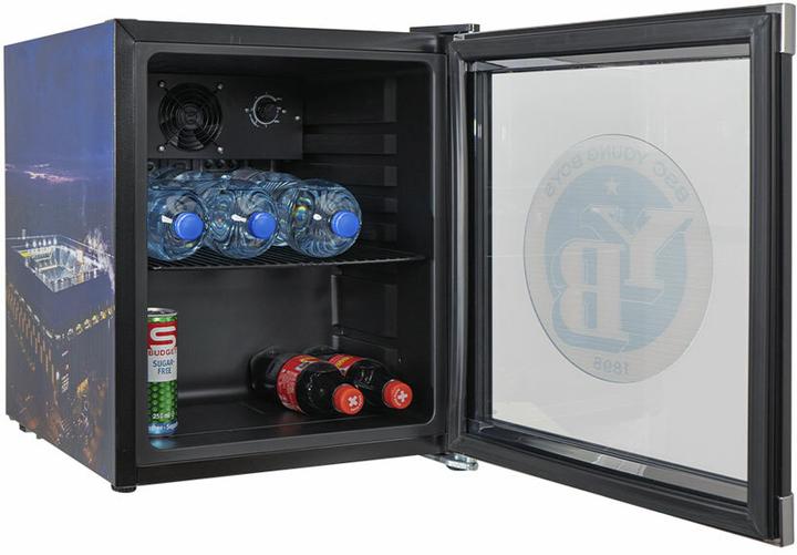 Actual product image Kibernetik BSC Young Boys (48 l)