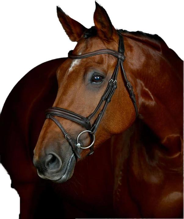 Image du produit Collegiate - Bride pour chevaux COMFITEC