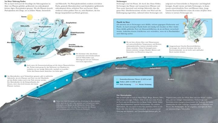 Actual product image Yoshi und das Meer (German, Johanna Ruhl, Lindsay Moore, 2023)
