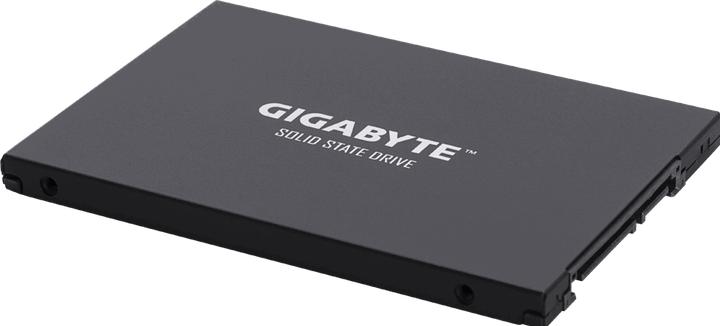 Produktbild Gigabyte GP-GSTFS30256GTTD (256 GB, 2.5")