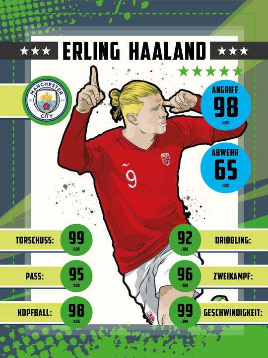 Produktbild Kozinowski:Werde wie... Erling Haaland (Deutsch, Jonas Kozinowski, Alessandro Valdrighi, Schwager & Steinlein Verlag, 2024)
