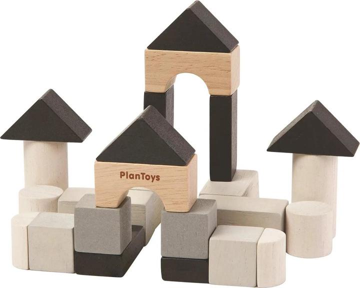 Image du produit Plantoys Les mini-blocs dans la boîte