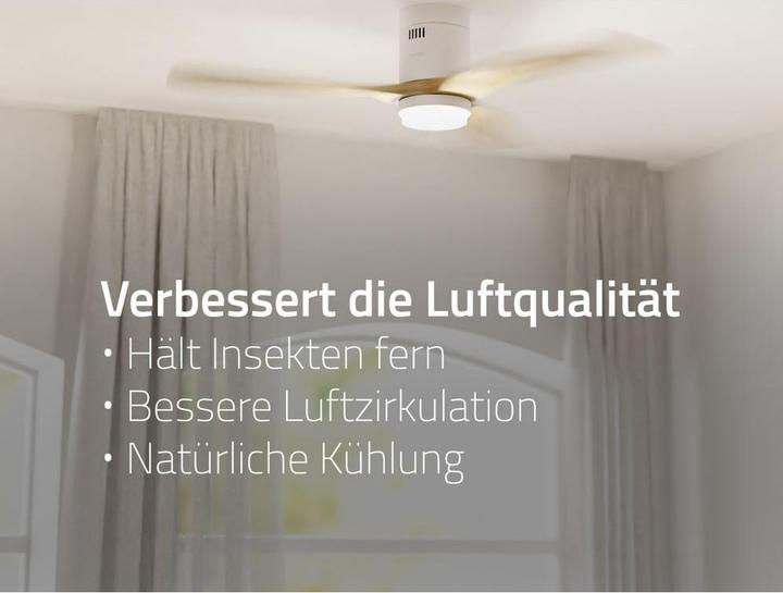 Produktbild Hombli Deckenventilator mit Licht (43 dB)