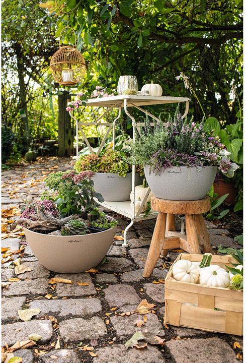 Produktbild Lechuza Cubeto Color (30 x 13.50 cm)