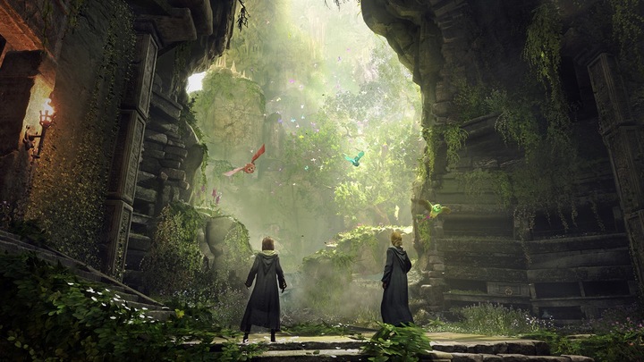Produktbild WB Hogwarts Legacy (Xbox Series X, DE, FR)