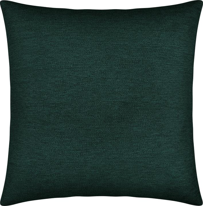 Petrol