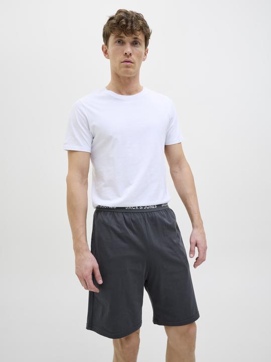 Produktbild Jack & Jones Regular Fit Shorts Shorts (L)