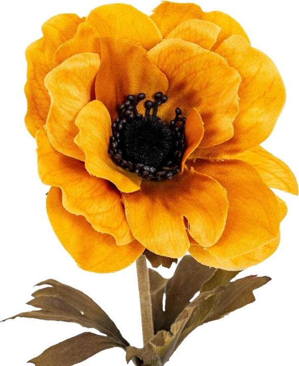 Produktbild Hill Interiors Anemone (38 cm)