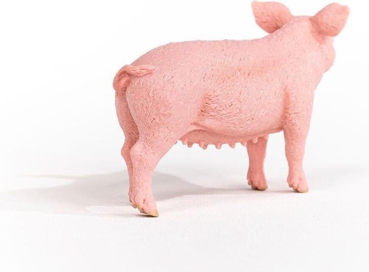 Actual product image Schleich Schwein