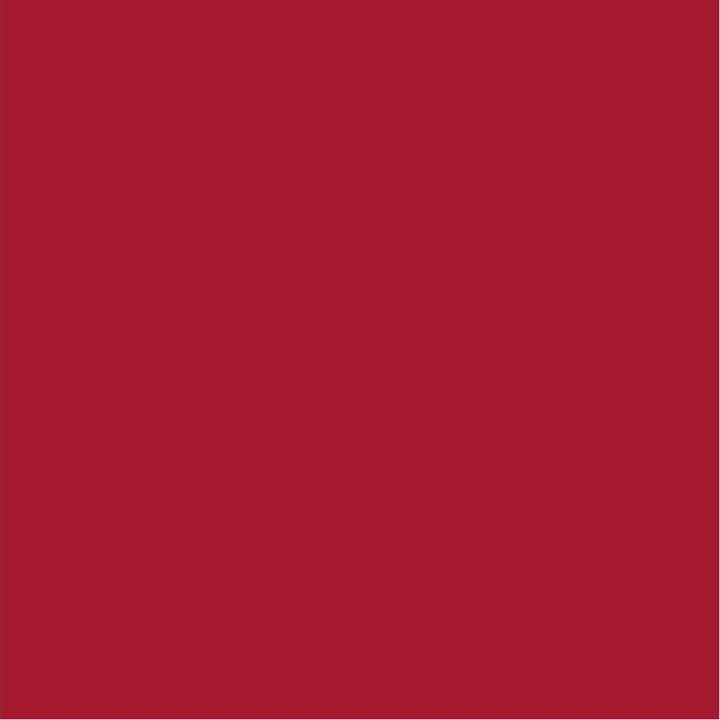 Produktbild Cricut SMRTVNL P RED 13 IN X 3 FT