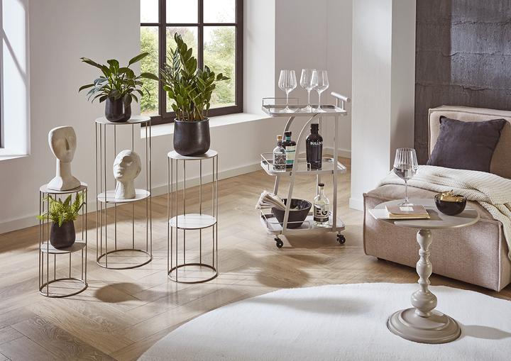 Immagine prodotto HAKU Möbel Servierwagen