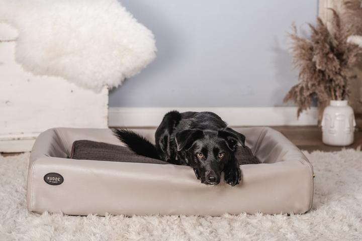 Produktbild Sabro Kudde (Hund)