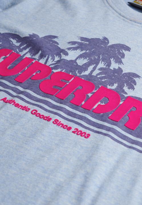 Actual product image Superdry Outdoor Stripe Relaxed Tee (XS)