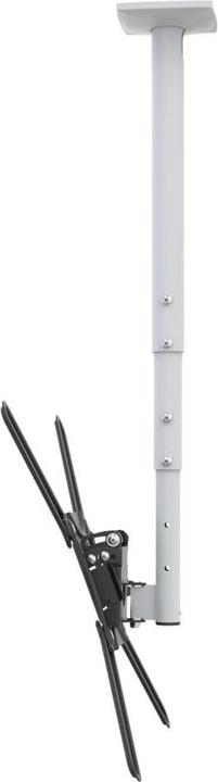 Produktbild Barkan TV Deckenhalterung (Decke, 65", 40 kg)