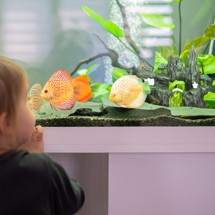Actual product image Relaxdays Aquarium decoration (Cave, other buildings)