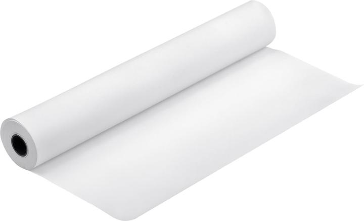 Immagine prodotto Epson Carta di prova (250 g/m², 3050 cm, 46.18 cm)