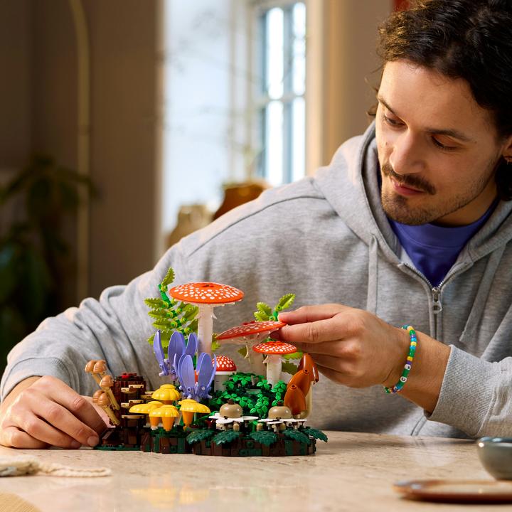 Produktbild LEGO 11505 Waldpilze (LEGO Botanicals)