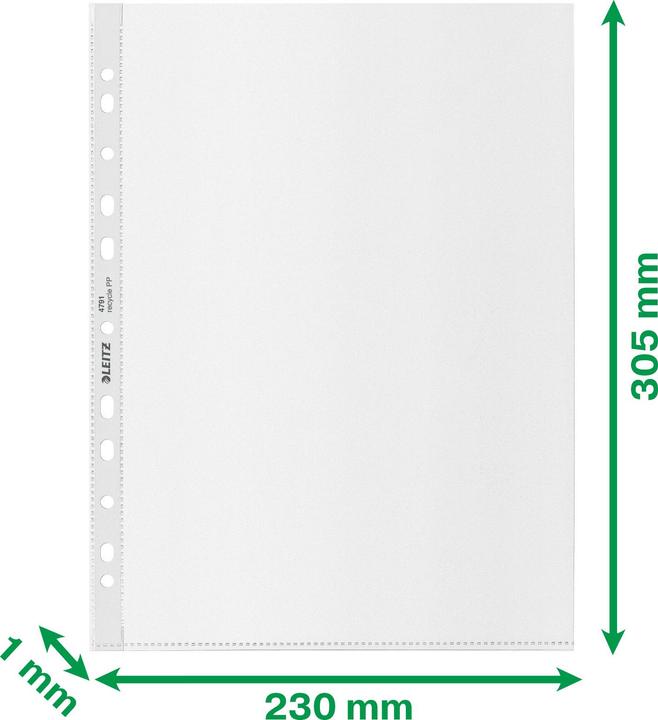 Actual product image Leitz Recycle Show Bags (A4, 100x)