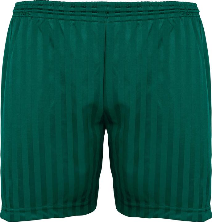 Actual product image Maddins Sport Shorts With Stripes (98)