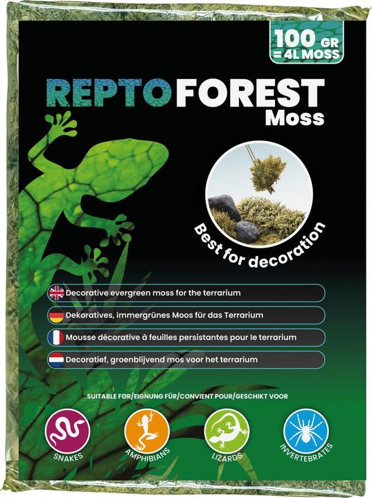 Repto Plant Forest Moss