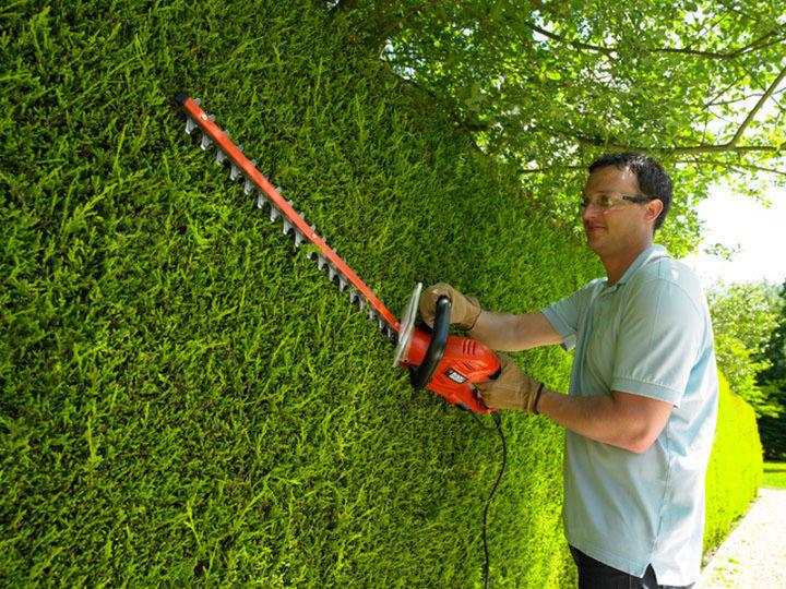 Produktbild Black & Decker Heckenschere GT5560 (Netzbetrieb)