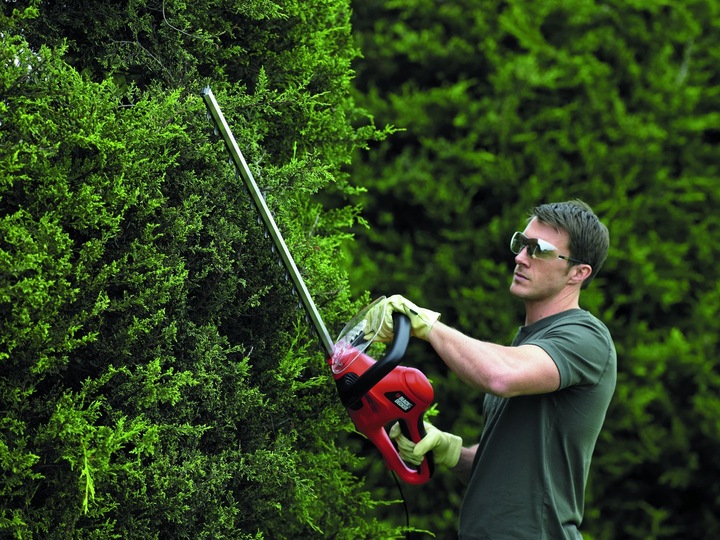 Immagine prodotto Black & Decker Gt7030 (Tagliasiepi elettrica)